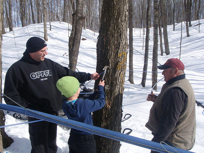 mountainmapleproducts tapping