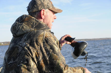 preparing a decoy for action