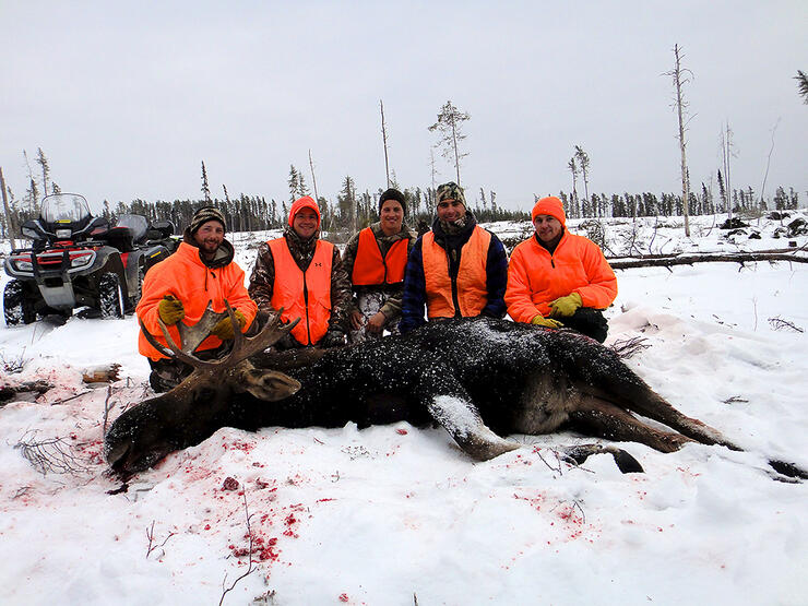 moose hunt