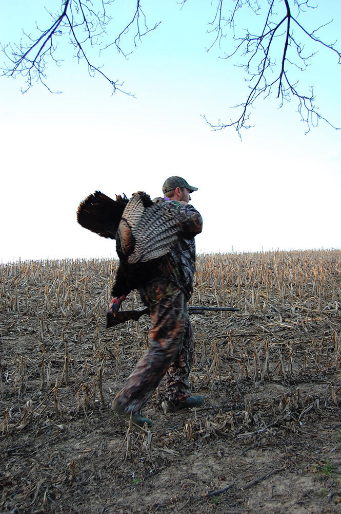 hunter with harvested turkey