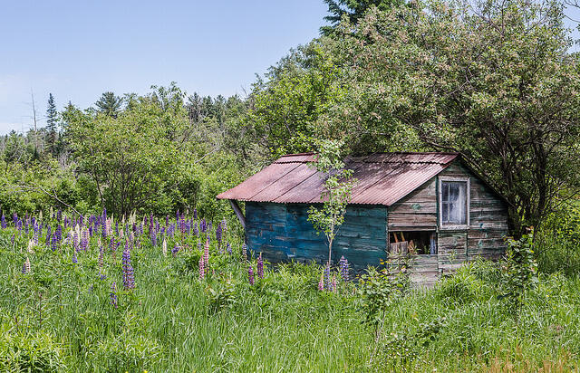 abandoned blue shack r