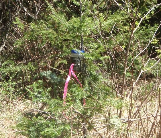 geo cache x