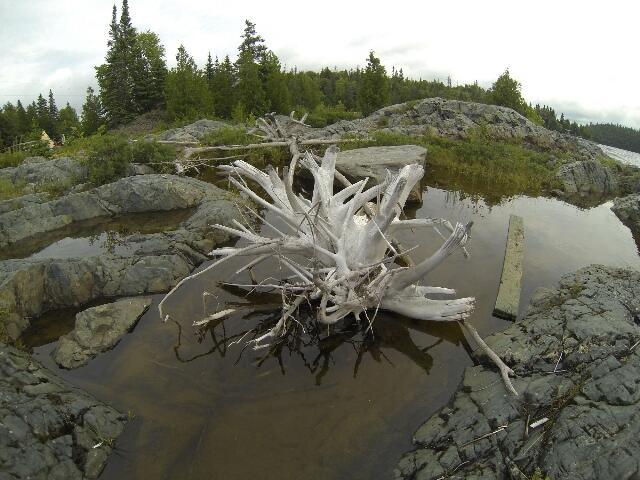 branch water