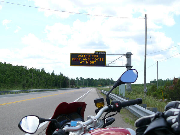 Motorcycles watch for Deer and Moose