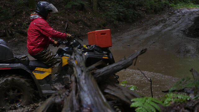 red in puddle