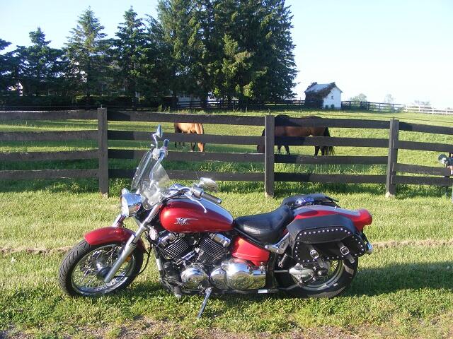 ruby in field