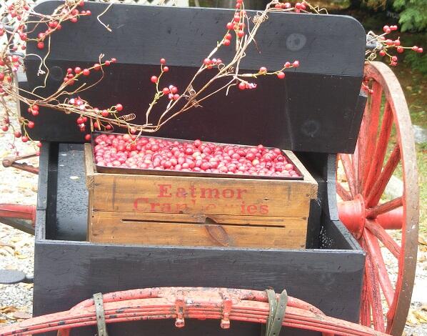 October 24 Wagon O Cranberries resized 630