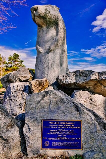 wiarton willy with the planet d