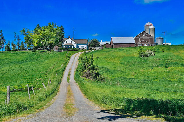 elmhirst farm