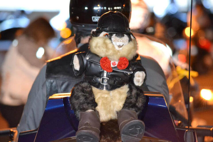 NORMIE STUFFIE READY