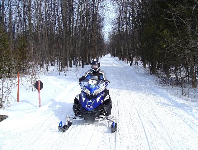blue sled on trail
