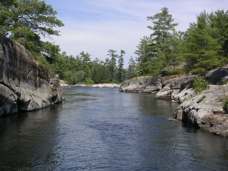 FRENCH RIVER