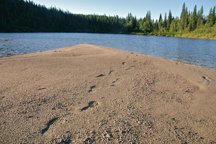 timmins 11