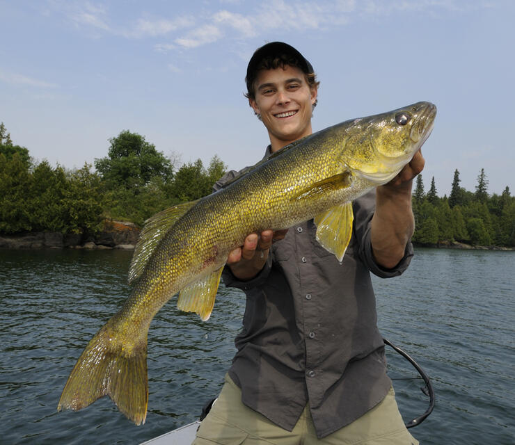 Spring Into Walleye: Early Season Tips For Walleye Fishing in