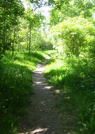 Nipigon Trail path