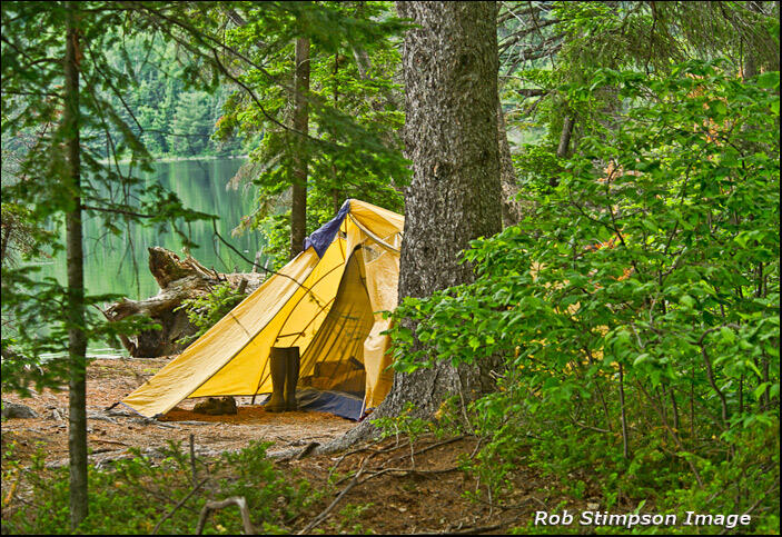 MS Tent 8820