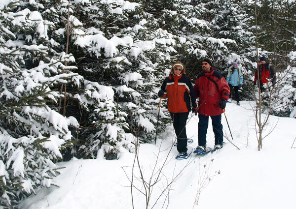 Snowshoeing-Treks-in-the-Wild-Blog-1