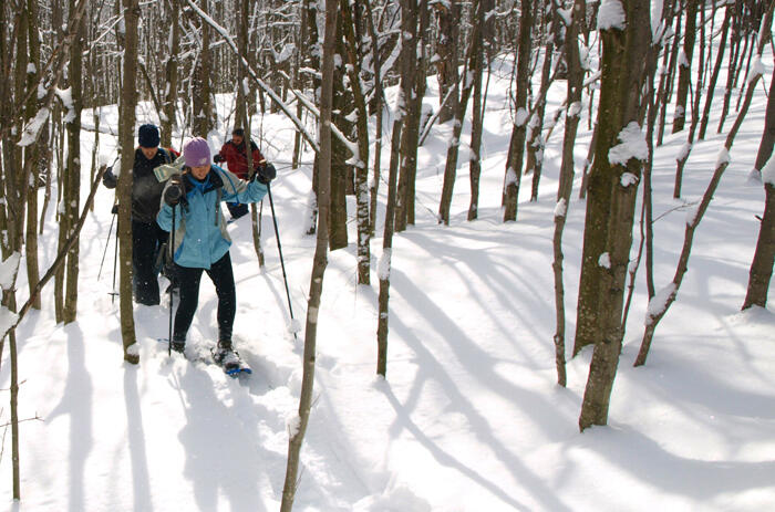 Snowshoeing-off-the-beaten-track-in-woods-Treks-in-the-Wild