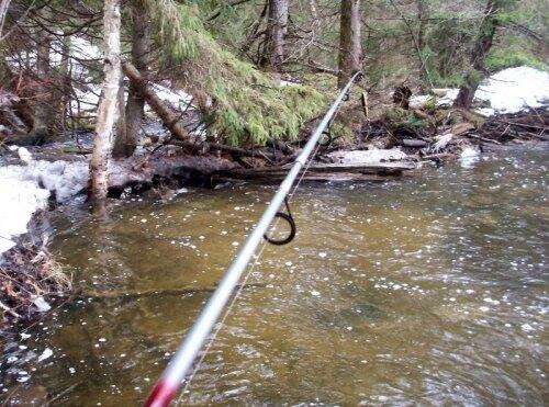 Spring Smelt Fishing Ontario