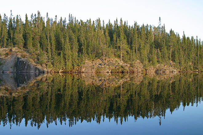 Reflection on Dryberry Lake 