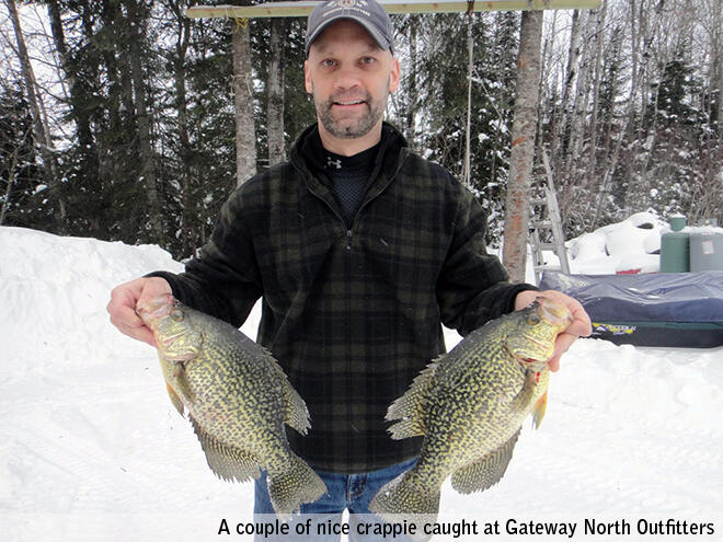 Some nice crappies caught at Gateway North Outfitters