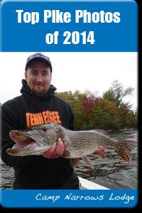 Best Northern pike Photos in Ontario in 2014