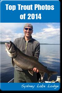 Best Trout Fish photos of 2014