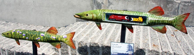 The Lake of the Wood's Railroad Museum's muskie is unfortunately not for sale.