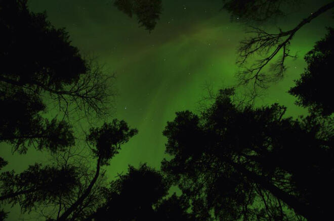 Northern Lights in Quetico Park