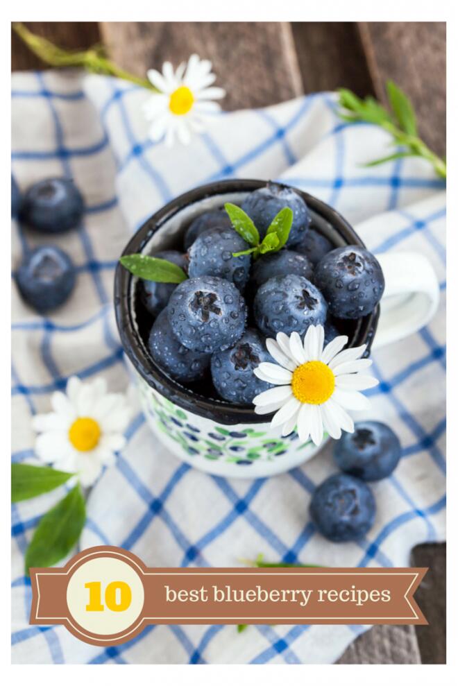 10 best blueberry recipes