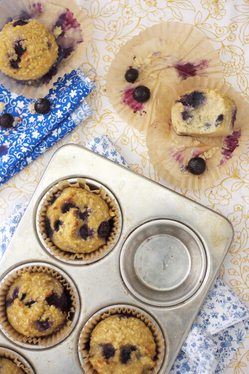 Shredded Coconut Blueberry Paleo Muffins by the Spunky Coconut