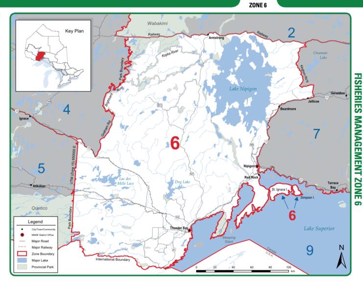 Nipigon is Northeast of Thunder Bay and is located in the MNR Zone 6