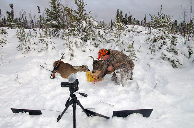 Filming a whitetail deer hunt