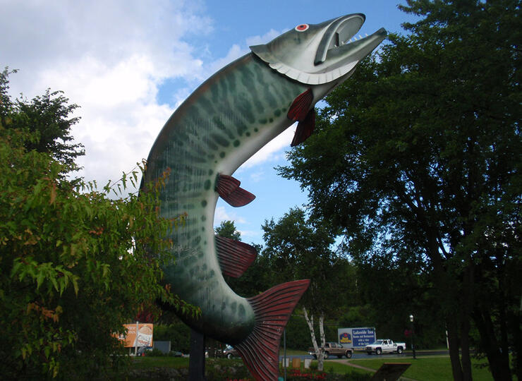 Kenora Husky the Muskie