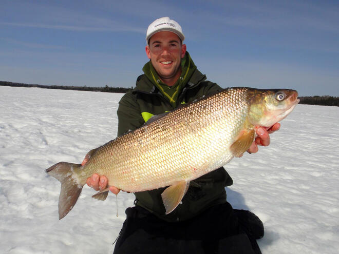 Scott Dingwall catches a huge whitefish