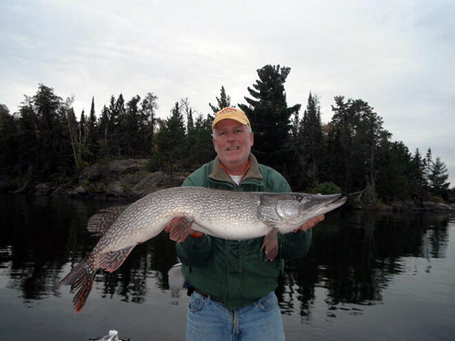 Chunky northern pike caught this fall on Rainy Lake