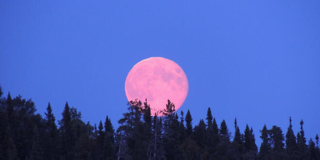 August moon photographed by Yvette Burns