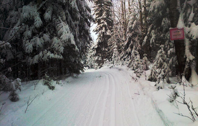 Cross Country Skiing in Red Lake