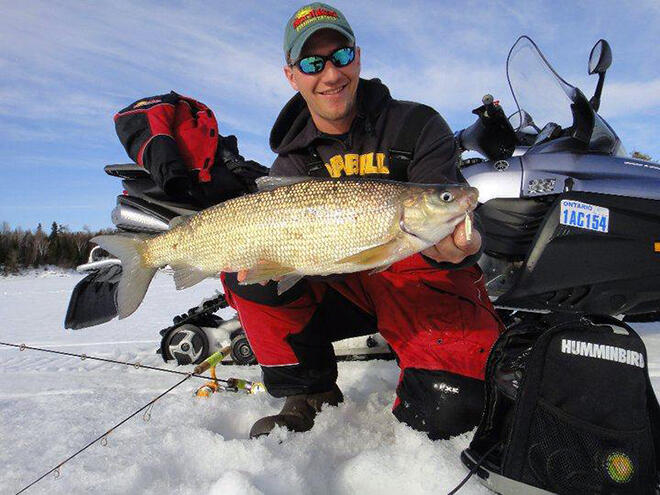Jeff Gustafson with a big Lake of the Woods whitefish