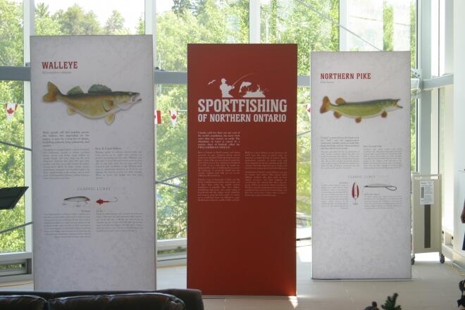Displays of fish species in Northern Ontario at the Sportfishing Centre
