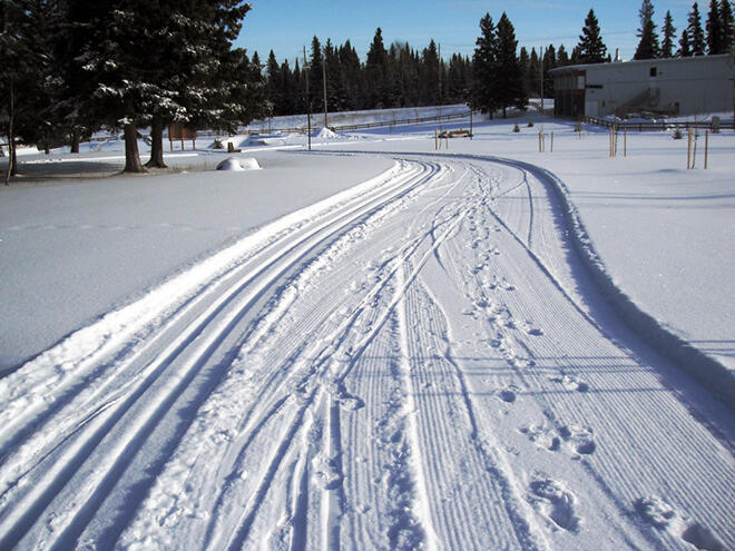 The trails at Centennial Park are perfect for beginner skiers.