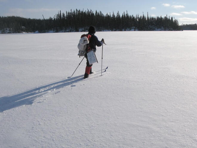 Red Lake Outfitters can outfit you for a day trip or multi-day ski trip in the back country