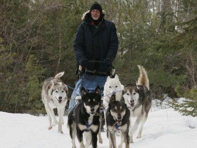 dog-sled-trips Ontario, Canada