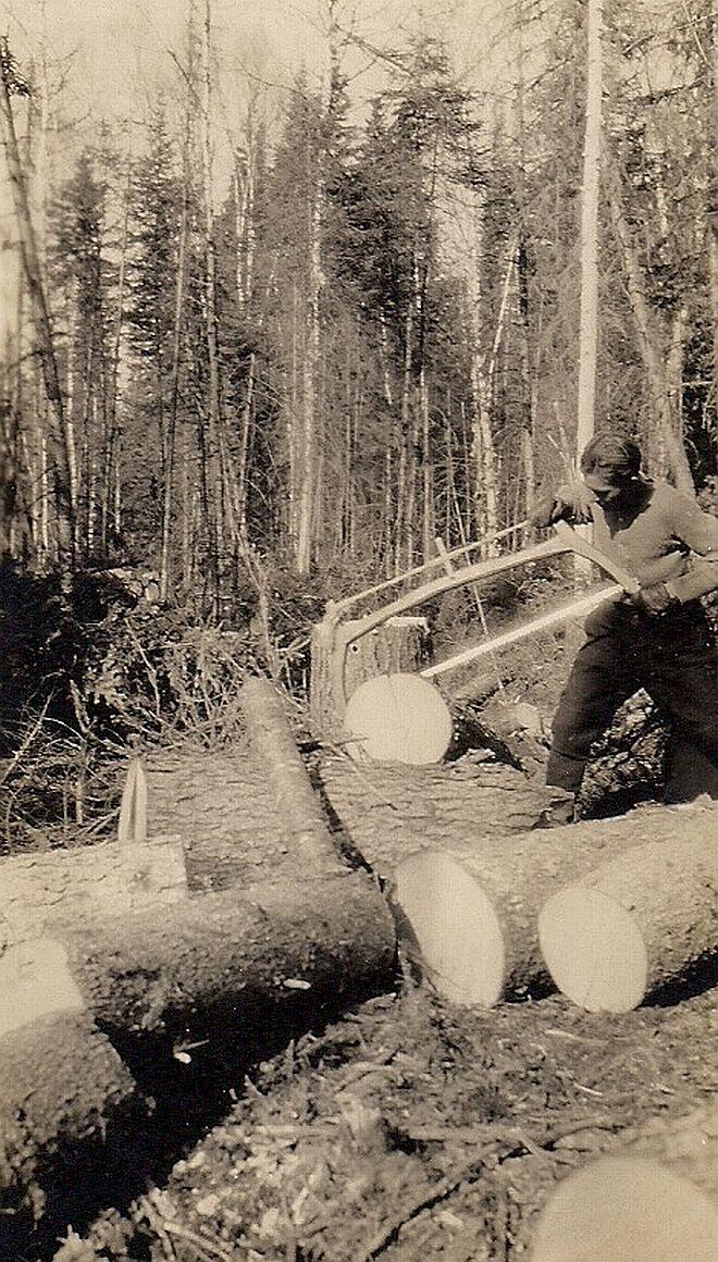 Cutting wood with a swede saw