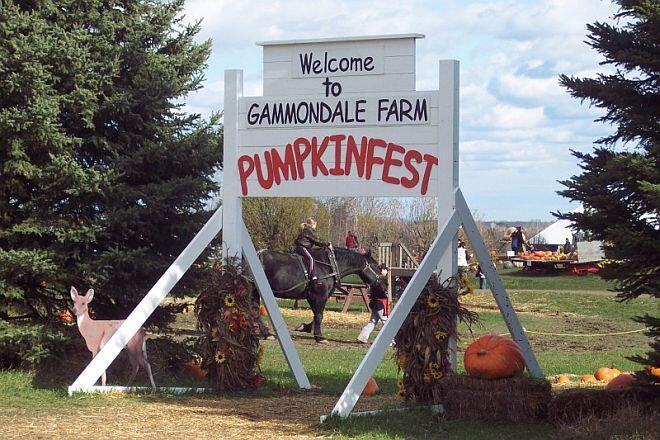 gf pumkinfesst welcome