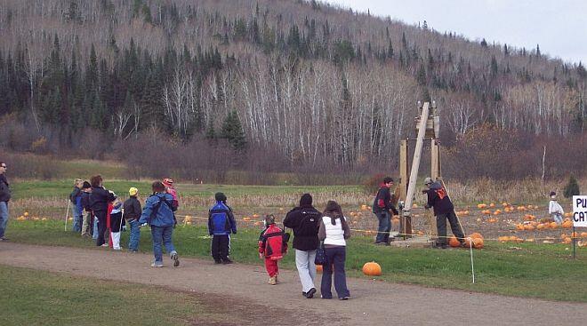 gf pumpkin catapult