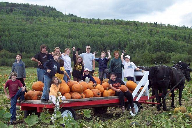 gf pumpkin wagon