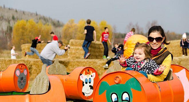 gf pumpkinfest train