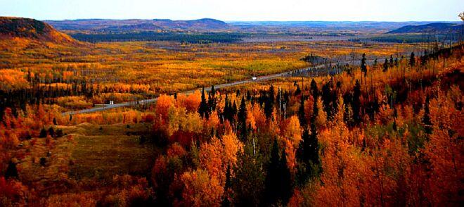 greenstone fall landscape