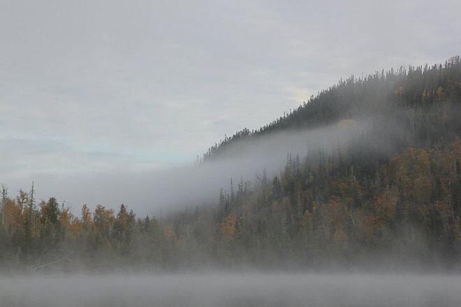 greenstone fall mist